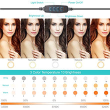 Load image into Gallery viewer, 10" LED Selfie Ring Light with 2 Tripod Stand & 3 Cell Phone Holder 3 Lighting Modes 10 Dimmable Brightness for Live Streaming YouTube Video Photography Makeup Circle Light for iPhone Android Camera