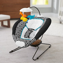 Load image into Gallery viewer, Fisher-Price Deluxe Bouncer