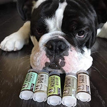 Load image into Gallery viewer, Natural Dog Company Powerhouse Travel Set - 5 Ct. TRIAL Sticks - Organic, All-Natural Healing Balms - Heals Cracked Paw Pads, Skin Fold Dermatitis & Dry Nose