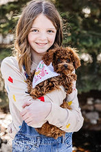 Load image into Gallery viewer, Kimberbell Playful Pet Kerchiefs Machine Embroidery Designs CD, Includes: 8 Different Designs - Each Comes in 4 Sizes, for Animals Large to Extra Small, Hoop Sizes: 4x4” and 5x7”, Patterns for Pets