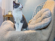 Load image into Gallery viewer, furrybaby Premium Fluffy Fleece Dog Blanket, Soft and Warm Pet Throw for Dogs & Cats (Small (2432"), Beige Blanket)
