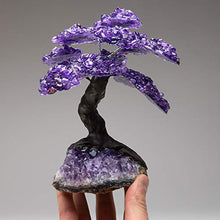 Load image into Gallery viewer, Large Amethyst Clustered Gemstone Tree on Amethyst Matrix