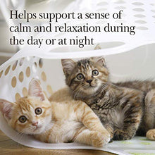Load image into Gallery viewer, Nutri-Vet Pet-Ease Calming Paw Gel for Cats | Support for Cat Anxiety and Stress | Tasty & Easy to Give | 3 Ounce Tube, Salmon