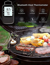 Load image into Gallery viewer, Govee Outdoor Ground Lights Bundle with Govee 169ft Bluetooth Meat Thermometer for Outdoor