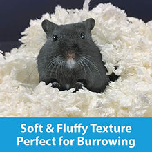Load image into Gallery viewer, Kaytee Clean & Cozy White Bedding For Pet Guinea Pigs, Rabbits, Hamsters, Gerbils, and Chinchillas SIOC, 2/50 Liters