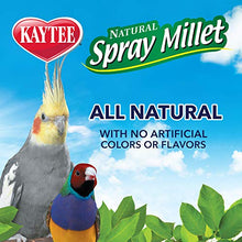 Load image into Gallery viewer, Kaytee Spray Millet Treat for Pet Birds, 7 Ounce