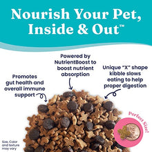 Load image into Gallery viewer, Solid Gold NutrientBoost Katz N Flocken - Dry Cat Food with Lamb, Rice & Pearled Barley - Digestive Probiotics for Cats - Gut Health & Immune Support - Grain Free - Superfood & Antioxidant Support