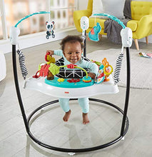 Load image into Gallery viewer, Fisher-Price Animal Wonders Jumperoo, White