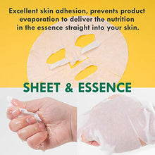 Load image into Gallery viewer, DERMAL 12 Pack Combo Best Value Set Collagen Essence Mask Sheet | Sodium Hyaluronate & Hydrolyzed Collagen Nature Made Fresh Mask | Best Korean Skin Care Mask