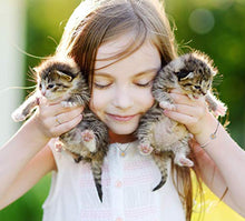 Load image into Gallery viewer, ISAACSONG.DESIGN 925 Sterling Silver Daisy/Sakura/Snowflake Flower Crystal Pendant Necklace Earring Bracelets Ring Set for Women (Fresh Love As Daisy Set)