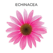 Load image into Gallery viewer, Similasan Kids Cold & Mucus Relief Syrup Plus Echinacea 4 Oz