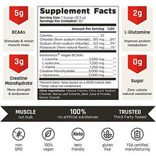 Load image into Gallery viewer, VINTAGE BUILD Post Workout BCAA, Creatine, L-Glutamine - The Essential 3-in-1 Muscle Building Recovery Powder for Men and Women (Fresh Berries) - Keto Friendly - 377 Grams - 30 Servings