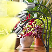 Load image into Gallery viewer, CWH&WEN Plant Grow Light, Grow Lamp Full Spectrum with Auto ON &Off Timer 3/9/12H for Indoor Plants, 3 Heads Grow Bulbs, USB+AC Adapter for Seedlings and Succulents