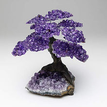 Load image into Gallery viewer, Large Amethyst Clustered Gemstone Tree on Amethyst Matrix