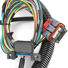 Load image into Gallery viewer, HPI 03-07 LS Vortec Standalone Harness 4.8 5.3 6.0 (Drive by Wire) (Green/Blue PCM) & MULTEC/Delphi, Fuel Injector CONNECTORS (T56 (Non Electric) DBW)