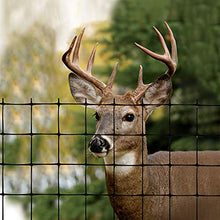 Load image into Gallery viewer, Tenax 1A120243 Deer Fence Select, 6 ft x 100 ft, Black