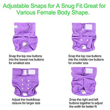 Load image into Gallery viewer, Wegreeco Washable Reusable Premium Dog Diapers, Medium, Bright Color, for Female Dog, Pack of 3