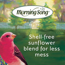 Load image into Gallery viewer, Morning Song 11959 Clean & Free Shell Free Wild Food Premium No Mess Bird Seed for Outside Feeders, 10 lb