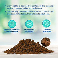 Load image into Gallery viewer, Lucy Pet Products Formulas for Life - Sensitive Stomach & Skin Dry Cat Food, All Breeds & Life Stages - Salmon, Pumpkin, & Quinoa, 4 LB Bag