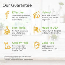 Load image into Gallery viewer, Puracy Baby Shampoo & Body Wash (Two-Pack)- Natural, Fragrance-Free Baby Body Wash For Sensitive Skin- 2 16-Ounce Bottles of Plant-Based Baby Wash And Shampoo For Daily Use
