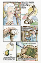 Load image into Gallery viewer, Neil Gaiman's Chivalry