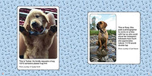 Load image into Gallery viewer, #WeRateDogs: The Most Hilarious and Adorable Pups You've Ever Seen