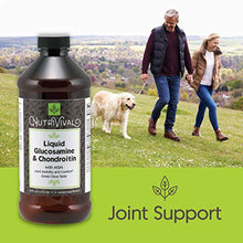Load image into Gallery viewer, Nutrivival Liquid Glucosamine & Chondroitin with MSM That Offers Joint Support and Comfort with A Great Citrus Taste* 16 Ounce Bottle