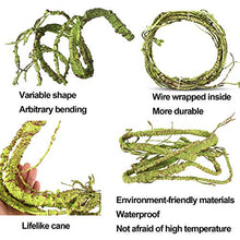 Load image into Gallery viewer, kathson Reptile Vines Plants Flexible Bendable Jungle Climbing Vine Terrarium Plastic Plant Leaves Pet Tank Habitat Decor for Bearded Dragons Lizards Geckos Snakes Hermit Crab Frogs and More Reptiles