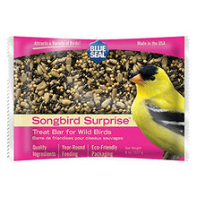 Load image into Gallery viewer, Blue Seal Songbird Surprise Suet Treat Bar | Attracts Wild Birds | 8 oz (12 Pack)