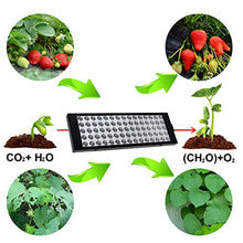 Load image into Gallery viewer, CWH&WEN AC85-265V Growing Lamp Full Spectrum LED Grow Light 2835 Chip Red+Blue+IR+UV Phyto Lamp for Plants Flowers Seedlings Cultivation