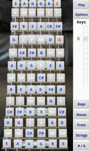 Load image into Gallery viewer, Electric Guitar Fretboard Addict