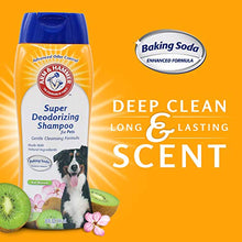 Load image into Gallery viewer, Arm & Hammer Super Deodorizing Shampoo For Dogs - Odor Eliminating Dog Shampoo For Smelly Dogs & Puppies With Arm & Hammer Baking Soda -- Kiwi Blossom Scent, 20 Fl Oz