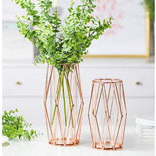 Load image into Gallery viewer, Gelible Geometric Glass Flower Vase with Metal Holder, Crystal Clear Transparent Planter Flowers Vase,Handcrafted Plating Metal Vase,Clear Vase Decor Home Office Wedding Party and Holiday Celebrate
