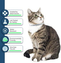 Load image into Gallery viewer, Flea and Tick Collar for Cat, Made with Natural Plant Based Essential Oil, Safe and Effective Repels Fleas and Ticks, Waterproof, 12 Months Protection, 13.8 in (2 Packs)