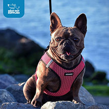 Load image into Gallery viewer, Voyager Step-in Air Dog Harness - All Weather Mesh Step in Vest Harness for Small and Medium Dogs by Best Pet Supplies - Pink (Matching Trim), XXS