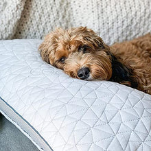 Load image into Gallery viewer, Coop Home Goods - Eden Adjustable Pillow - Shredded Memory Foam with Cooling Gel - Lulltra Washable Cover from Bamboo Derived Rayon - CertiPUR-US/GREENGUARD Gold Certified (Queen)