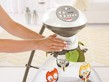 Load image into Gallery viewer, Fisher-Price My Little Snugabear Cradle 'n Swing