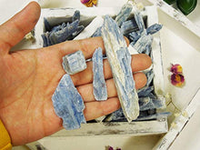 Load image into Gallery viewer, Rock Paradise 1/2 lb Blue Kyanite Blades - Kyanite Fans - Half Pound of Kyanite Blades COA