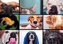 Load image into Gallery viewer, Buffalo Games - Pet's Virtual Hangout - 300 Large Piece Jigsaw Puzzle