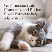 Load image into Gallery viewer, Nutri-Vet Pet-Ease Calming Paw Gel for Cats | Support for Cat Anxiety and Stress | Tasty & Easy to Give | 3 Ounce Tube, Salmon