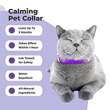 Load image into Gallery viewer, PETPLUS Cat Calming Collar for Cats | Purrfect to Reduce Your Pet’s Anxiety or Aggression | Pheromones for Cats & Cat Anxiety Relief | Cat Calming Products for Kittens | 2-Month Protection, 1 Collar