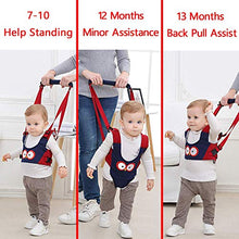 Load image into Gallery viewer, Baby Walker, Adjustable Baby Walking Harness Safety Harnesses, Pulling and Lifting Dual Use 7-24 Month Breathable Stand Up & Walking Learning Helper for Infant Child Activity Walker (Blue)