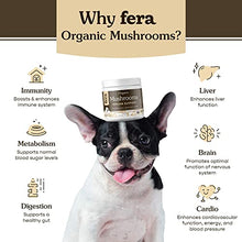 Load image into Gallery viewer, FERA PET ORGANICS Mushroom Blend for Dog and Cat Immune Support - USDA Organic Certified - for Cognitive Health, Vitality, and Immune Support, Made in The USA, 120 Servings, 60g
