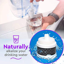 Load image into Gallery viewer, Opti CHILL Alkaline Water Refrigerator Filter Unit + 3 Extra OEM Opti Chill 120 Gallon Replacement Filter