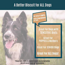 Load image into Gallery viewer, Benefit Biscuits, All Natural Dog Treats, Certified Vegan, Non GMO, Wheat Free, Healthy Dog Biscuits, Made in USA
