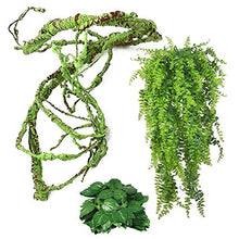 Load image into Gallery viewer, kathson Reptile Vines Plants Flexible Bendable Jungle Climbing Vine Terrarium Plastic Plant Leaves Pet Tank Habitat Decor for Bearded Dragons Lizards Geckos Snakes Hermit Crab Frogs and More Reptiles