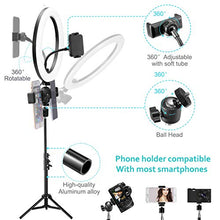Load image into Gallery viewer, 10" LED Selfie Ring Light with 2 Tripod Stand & 3 Cell Phone Holder 3 Lighting Modes 10 Dimmable Brightness for Live Streaming YouTube Video Photography Makeup Circle Light for iPhone Android Camera