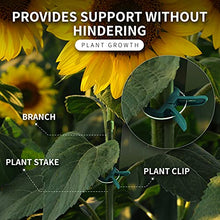 Load image into Gallery viewer, Ram-Pro 40 Piece Green Gentle Gardening Plant & Flower Lever Loop Gripper Clips, Tool for Supporting or Straightening Plant Stems, Stalks, and Vines, Garden Clips