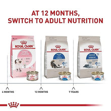 Load image into Gallery viewer, Royal Canin Indoor Adult Dry Cat Food, 15 lb bag