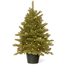 Load image into Gallery viewer, National Tree Company 'Feel Real' Artificial Christmas Tree For Entrances| Includes White Lights and Stand | Hampton Spruce - 3 ft